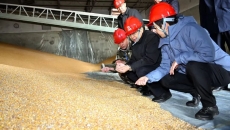 AG�ֻ��������(����)��ҳ���