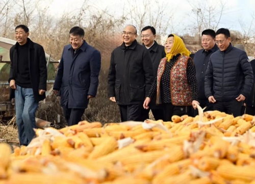 ΢��ͼƬ_20241106195718