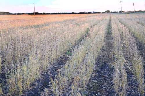 ΢��ͼƬ_20241109194923