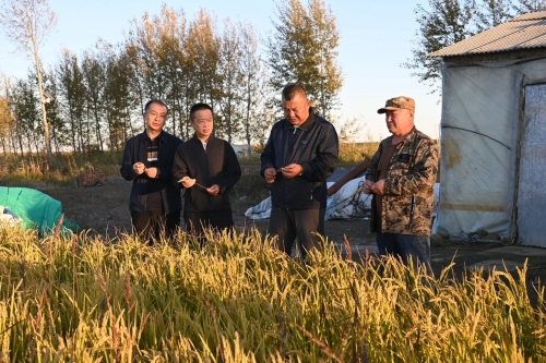 ΢��ͼƬ_20241109194926