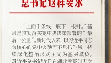 AG�ֻ��������(����)��ҳ���