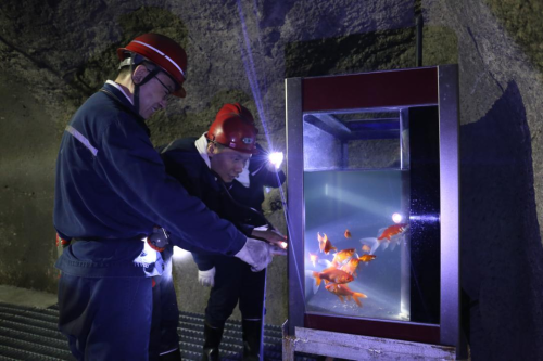 ΢��ͼƬ_20250619230544