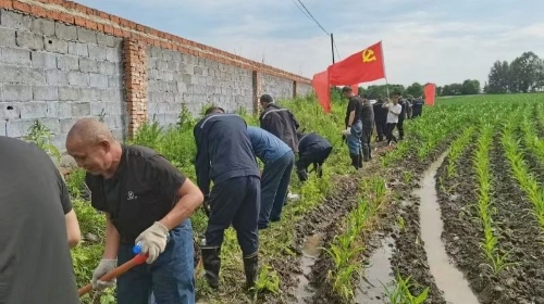 ΢��ͼƬ_20250706204227